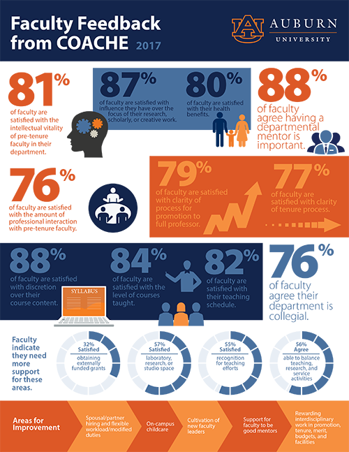 COACHE 2017 Faculty Feedback Summary